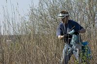 paljasaare_teeme2008 020